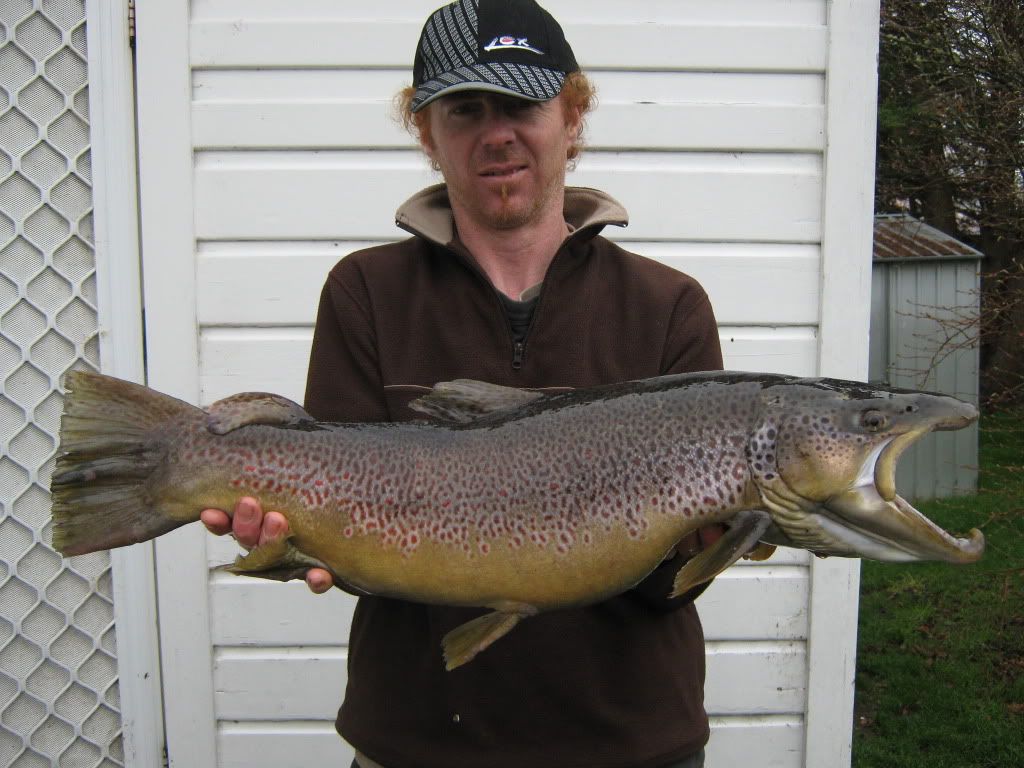 Monster Trout – Tasmania | iheartthefly